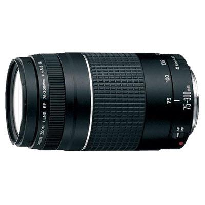 Canon Objectifs pour appareil photo numérique Téléobjectif