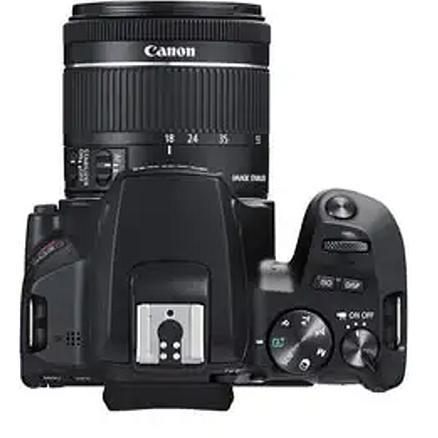 Canon 24.1-MP Digital Camera 3453C002 IMAGE 7