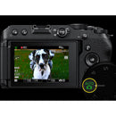 Nikon 20.9-MP Mirrorless Camera Z30 NIKKOR Z DX 16-50mm f/3.5-6.3 VR KIT IMAGE 6